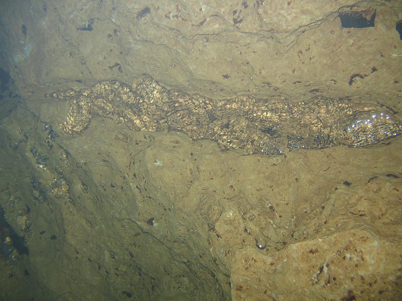 Bennett Springs 011.JPG - The air looks like water doesn't it?